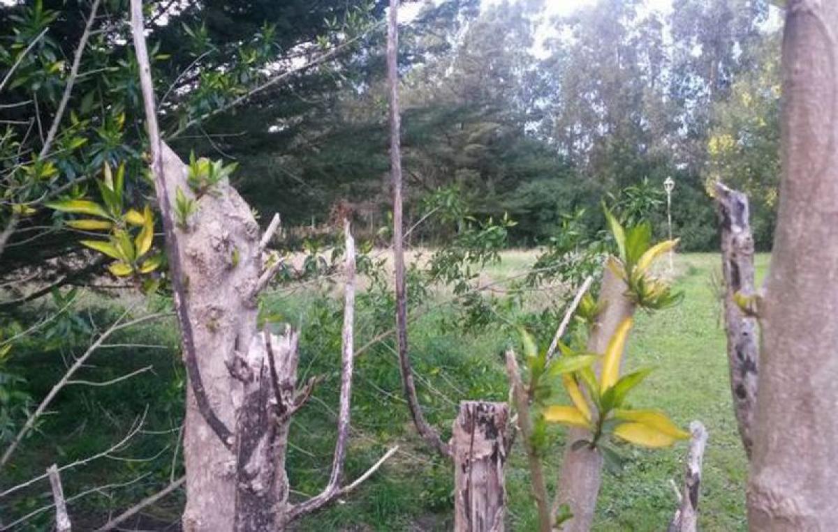  Land in Mar del Plata, Argentina No. 116759