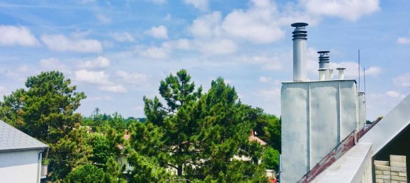 4 bedrooms Apartment in Liesing, Austria No. 150598 4