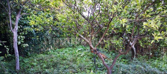 Villa T4 em Carini, Italy N.º 44630 32