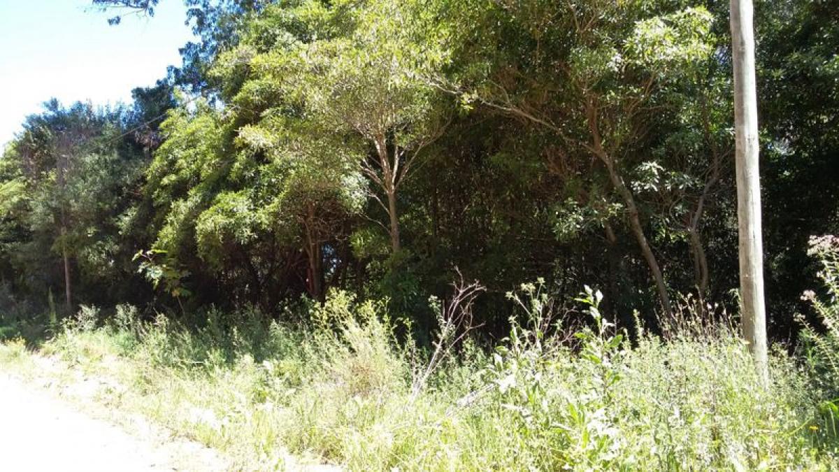 Terrain à Maldonado, Uruguay No. 14009