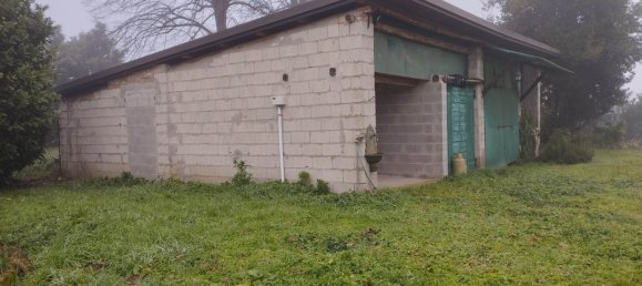 4غرفة منزل في Piacenza d'Adige, Italy رقم 198931 7