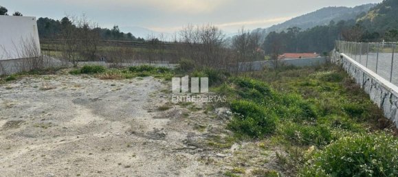 Grundstück in Baiao, Portugal 1000m², Nr. 61776 3