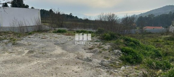 Grundstück in Baiao, Portugal 1000m², Nr. 61776 9