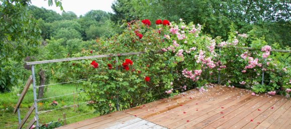 3 rooms House in Cochem-Zell, Germany No. 242737 18