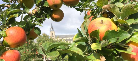 3 rooms House in Cochem-Zell, Germany No. 242737 19