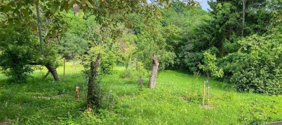 3 rooms House in Cochem-Zell, Germany No. 242737 17