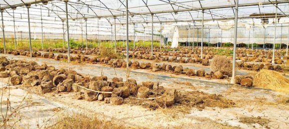 Земельный участок в Аликанте, Испания № 153755 68