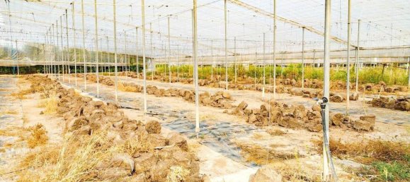  قطعة أرض في Alicante, Spain رقم 153755 29