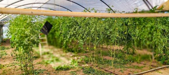  قطعة أرض في Alicante, Spain رقم 153755 4