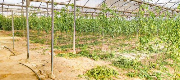  قطعة أرض في Alicante, Spain رقم 153755 30