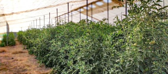  قطعة أرض في Alicante, Spain رقم 153755 14