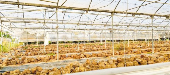  قطعة أرض في Alicante, Spain رقم 153755 23