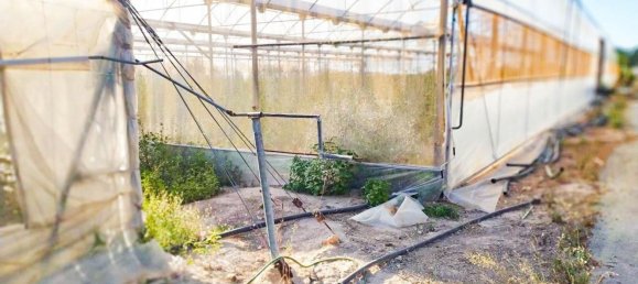  قطعة أرض في Alicante, Spain رقم 153755 35