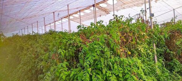 Земельный участок в Аликанте, Испания № 153755 61