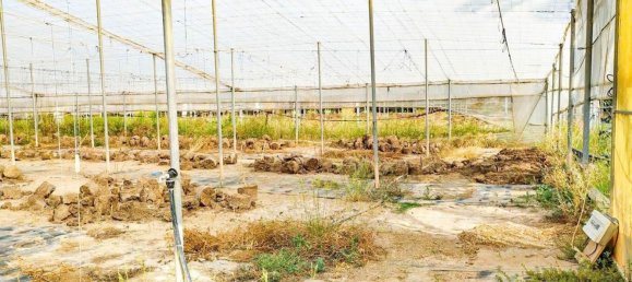  قطعة أرض في Alicante, Spain رقم 153755 27