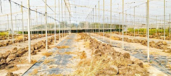  قطعة أرض في Alicante, Spain رقم 153755 54