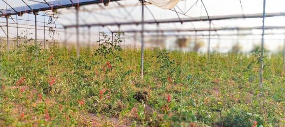  قطعة أرض في Alicante, Spain رقم 153755 21