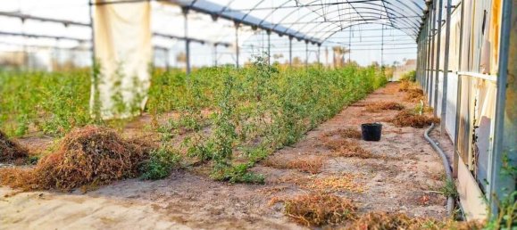  قطعة أرض في Alicante, Spain رقم 153755 40