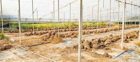  قطعة أرض في Alicante, Spain رقم 153755 50