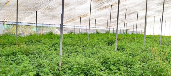  قطعة أرض في Alicante, Spain رقم 153755 20