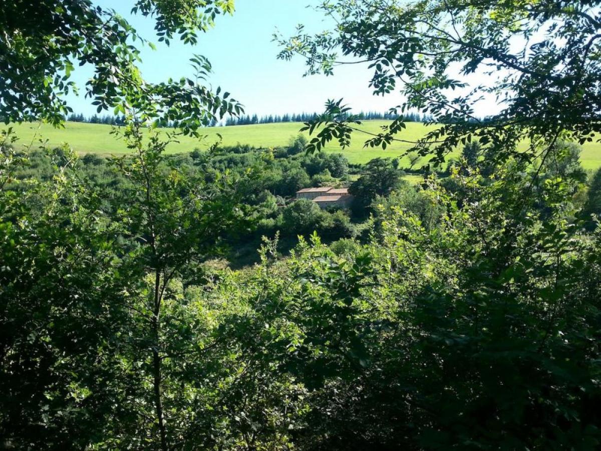 Ферма в Ницца, Франция № 21428