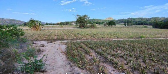  Commercial property in Hua Hin, Thailand No. 16923 7