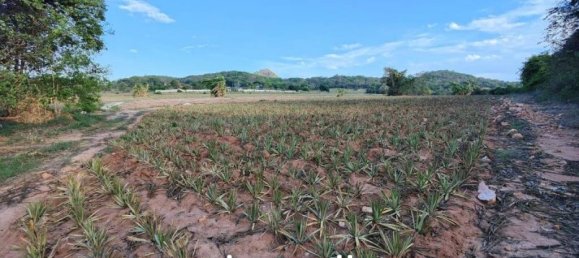  Commercial property in Hua Hin, Thailand No. 16923 9