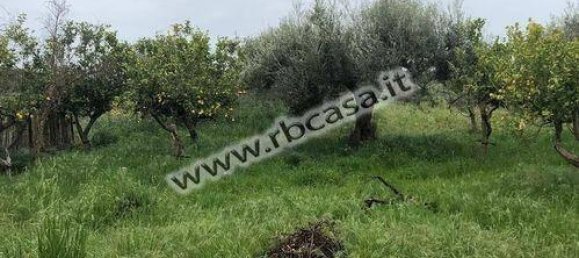 6-salle Villa à Ispica, Italy No. 134118 8