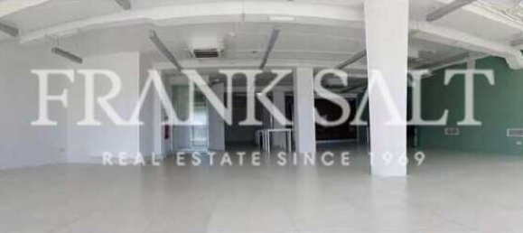 327m² Office in Balzan, Malta No. 12063 2