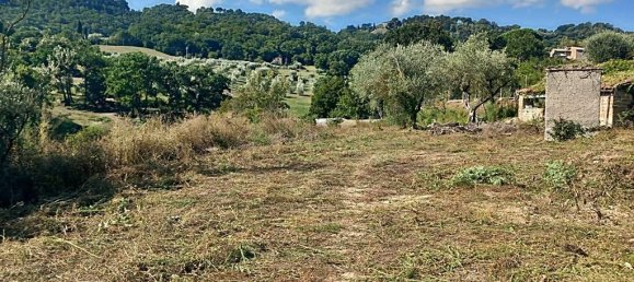 7 rooms House in Orvieto, Italy No. 164558 4