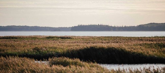Grundstück in Vorpommern-Rügen, Germany, Nr. 290991 13