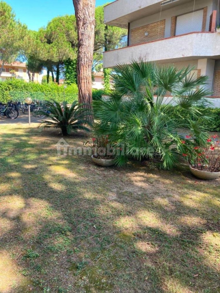 1 bedroom Apartment in Massa, Italy No. 299694