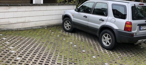 1 غرف نوم شقة في Mainz-Bingen, Germany رقم 352248 14