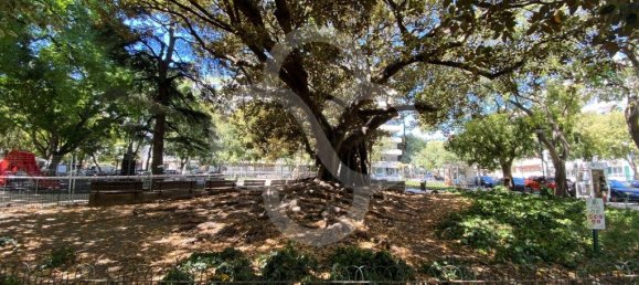 1 bedroom Apartment in Lisbon, Portugal No. 155231 17