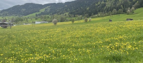 6-Zimmer Haus in Wildschönau, Austria, Nr. 4888 8