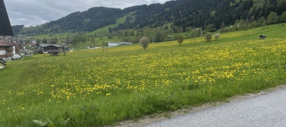 6-Zimmer Haus in Wildschönau, Austria, Nr. 4888 9