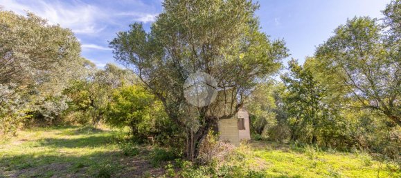 Дом с 3 комнатами в Сан Поло дел Кавальери, Италия № 113719 12