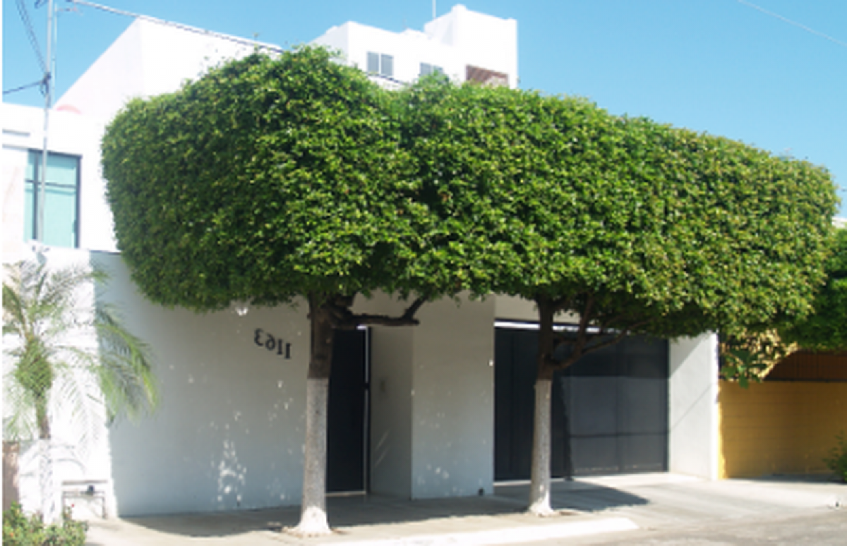 4 bedrooms House in Sinaloa, Mexico No. 153424