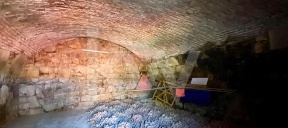 6 bedrooms House in Salzedas, Portugal No. 62708 15