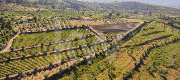 6 bedrooms House in Salzedas, Portugal No. 62708 17