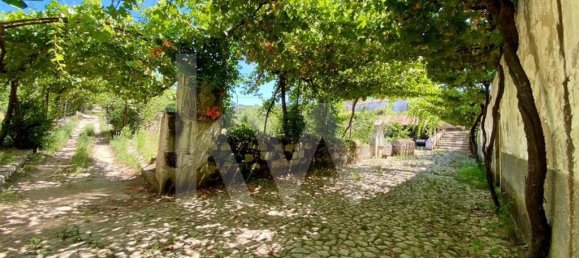 6 bedrooms House in Salzedas, Portugal No. 62708 16