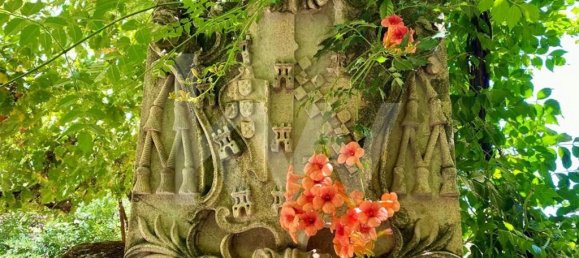 6 bedrooms House in Salzedas, Portugal No. 62708 3