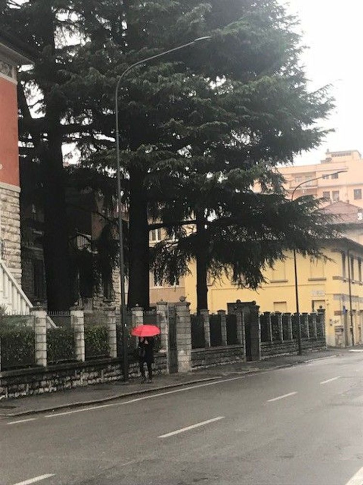 28m² Commercial property in Brescia, Italy No. 391871