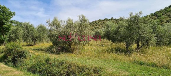 4 غرف نوم منزل في Cinigiano, Italy رقم 287310 5