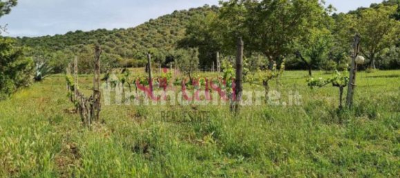 4 غرف نوم منزل في Cinigiano, Italy رقم 287310 4