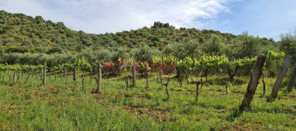 4 غرف نوم منزل في Cinigiano, Italy رقم 287310 6