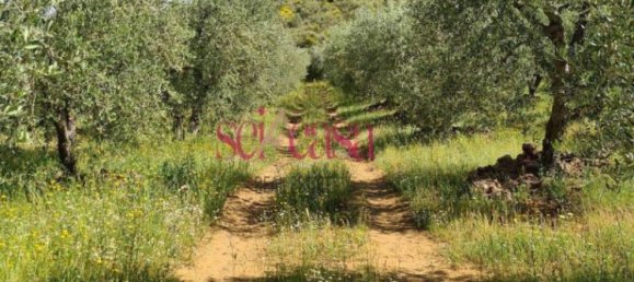 4 غرف نوم منزل في Cinigiano, Italy رقم 287310 7