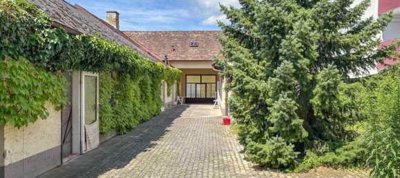 6 rooms House in Baden, Austria No. 217532 11