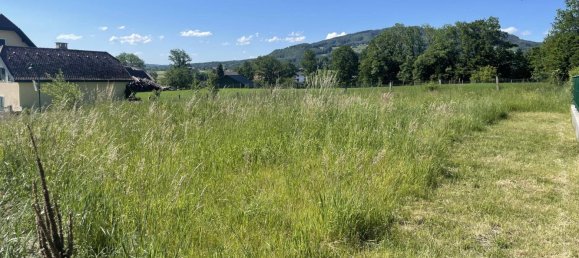 Land in Anthering, Austria No. 31280 10