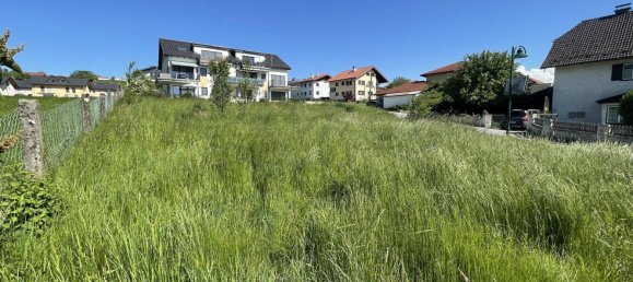 Land in Anthering, Austria No. 31280 6